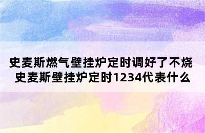 史麦斯燃气壁挂炉定时调好了不烧 史麦斯壁挂炉定时1234代表什么